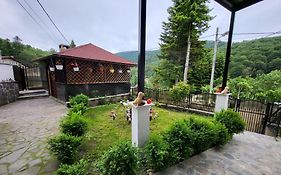 Casa Roxi